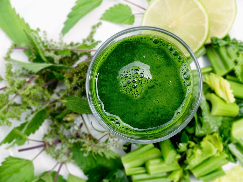 Plant-Based Living